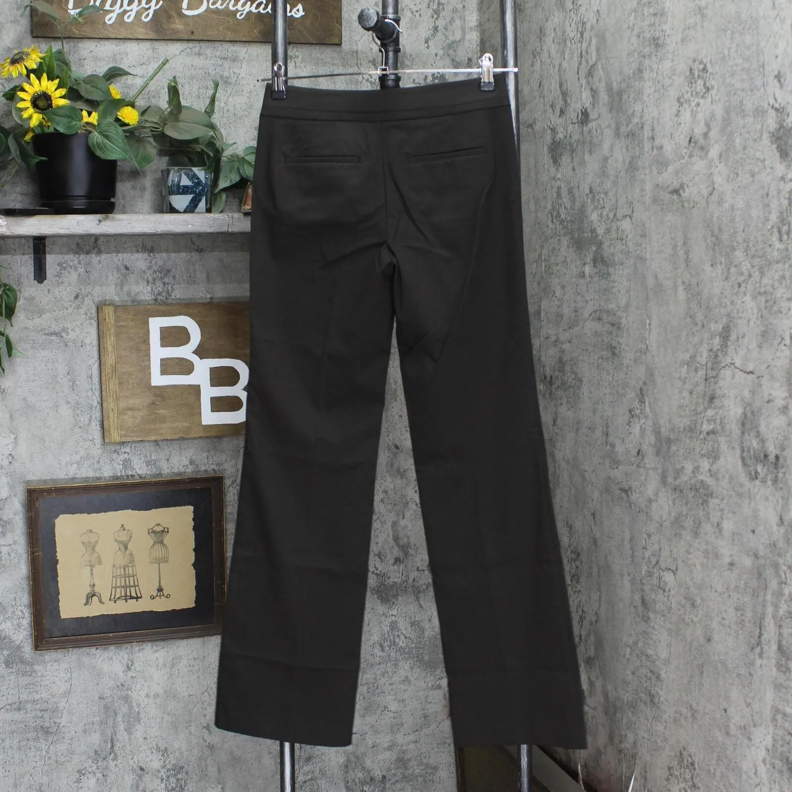 Ann Taylor Womens Modern Straight Leg Dress Pants 1667e69add00da Brown 0