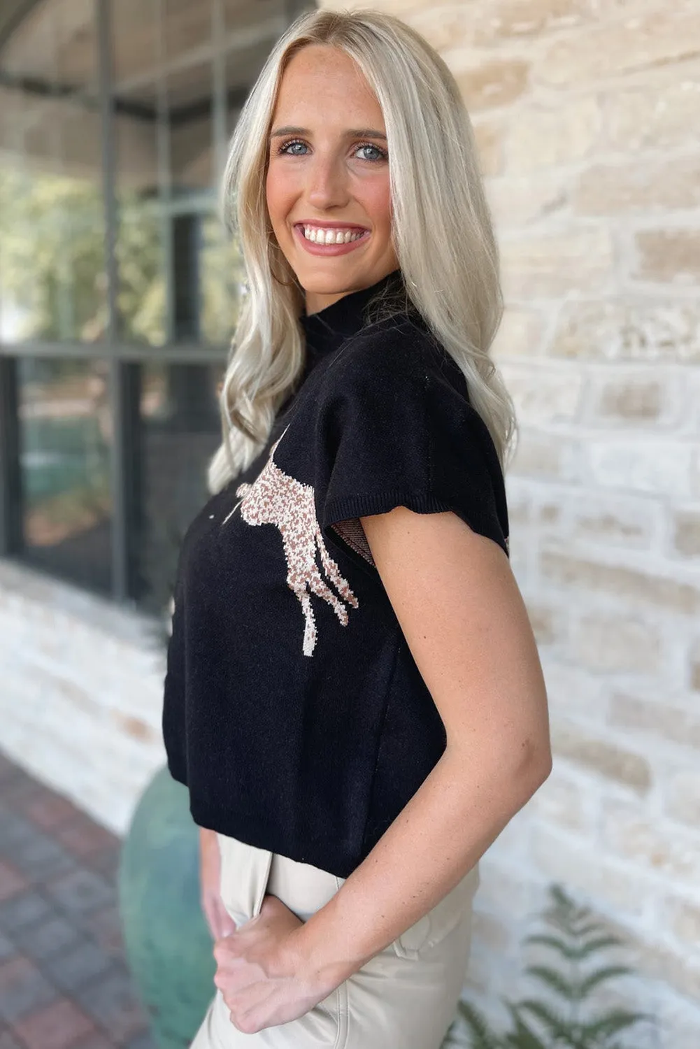 Black Lively Cheetah Pattern High Neck Sweater