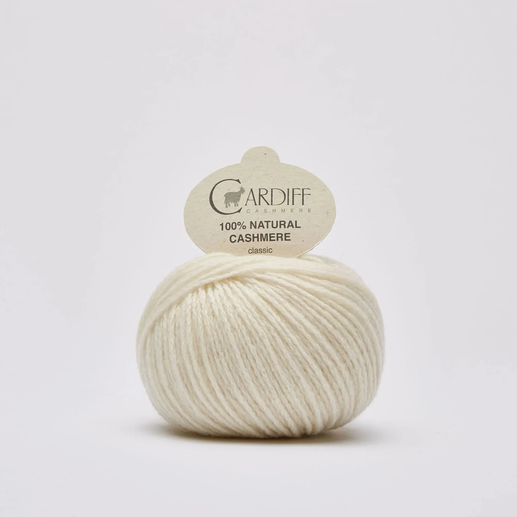 Cashmere Olive's blanket