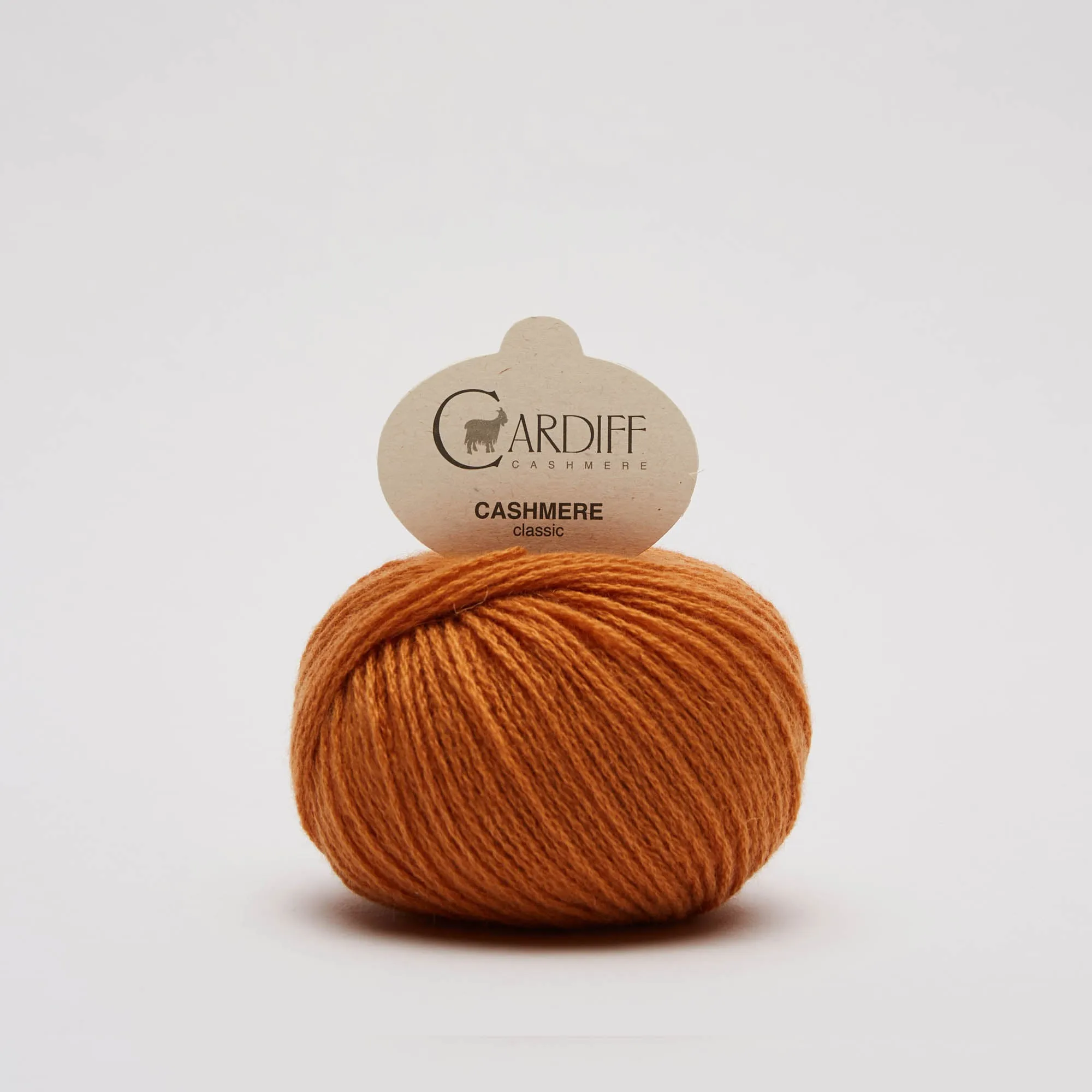Cashmere Olive's blanket