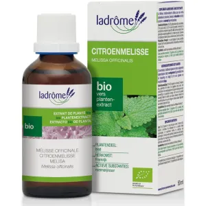 Lemon balm tincture organic