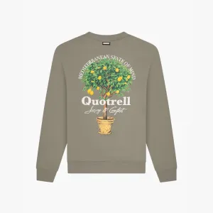 LIMONE CREWNECK | FADED OLIVE/WHITE