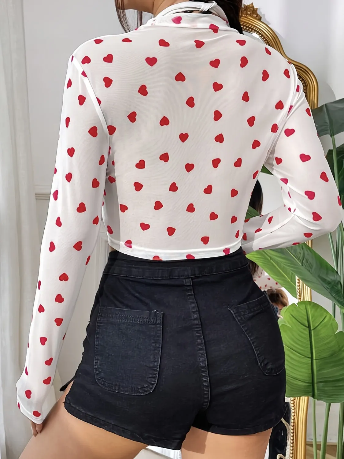 Long Sleeve Sheer Top