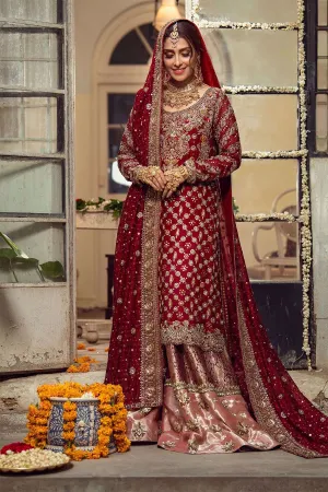 Pakistani Bridal Wear in Deep Maroon Color #Y2067