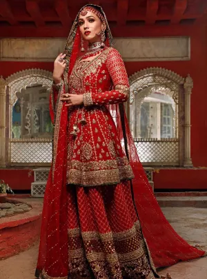 Pakistani Bridal Wedding Dress in Deep Red Color #J5172