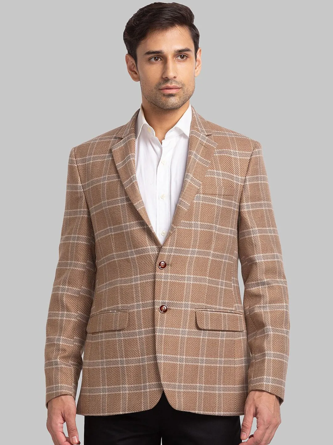 Park Avenue Men Checked Single Breasted Blazers