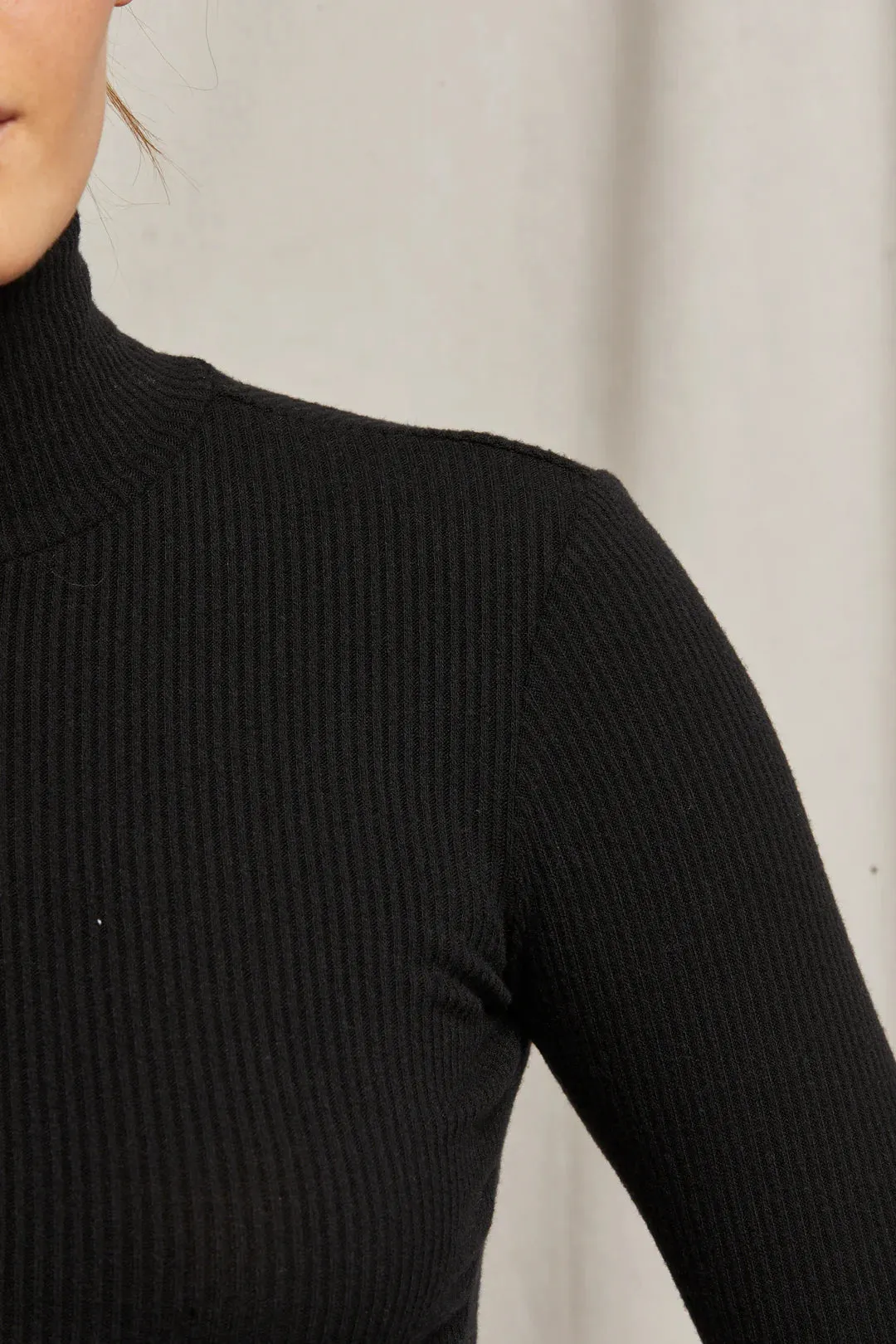 Perfect White Tee Noelle Rib Turtle Neck