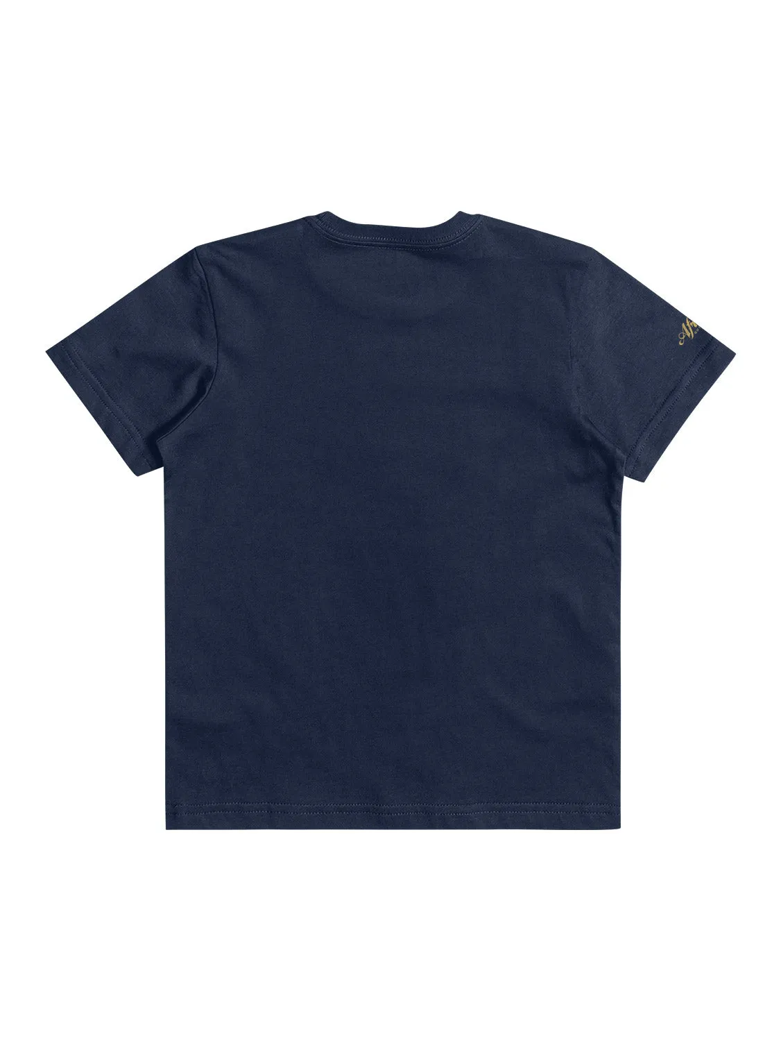 Quiksilver Pre Boys Africa Lion T-Shirt