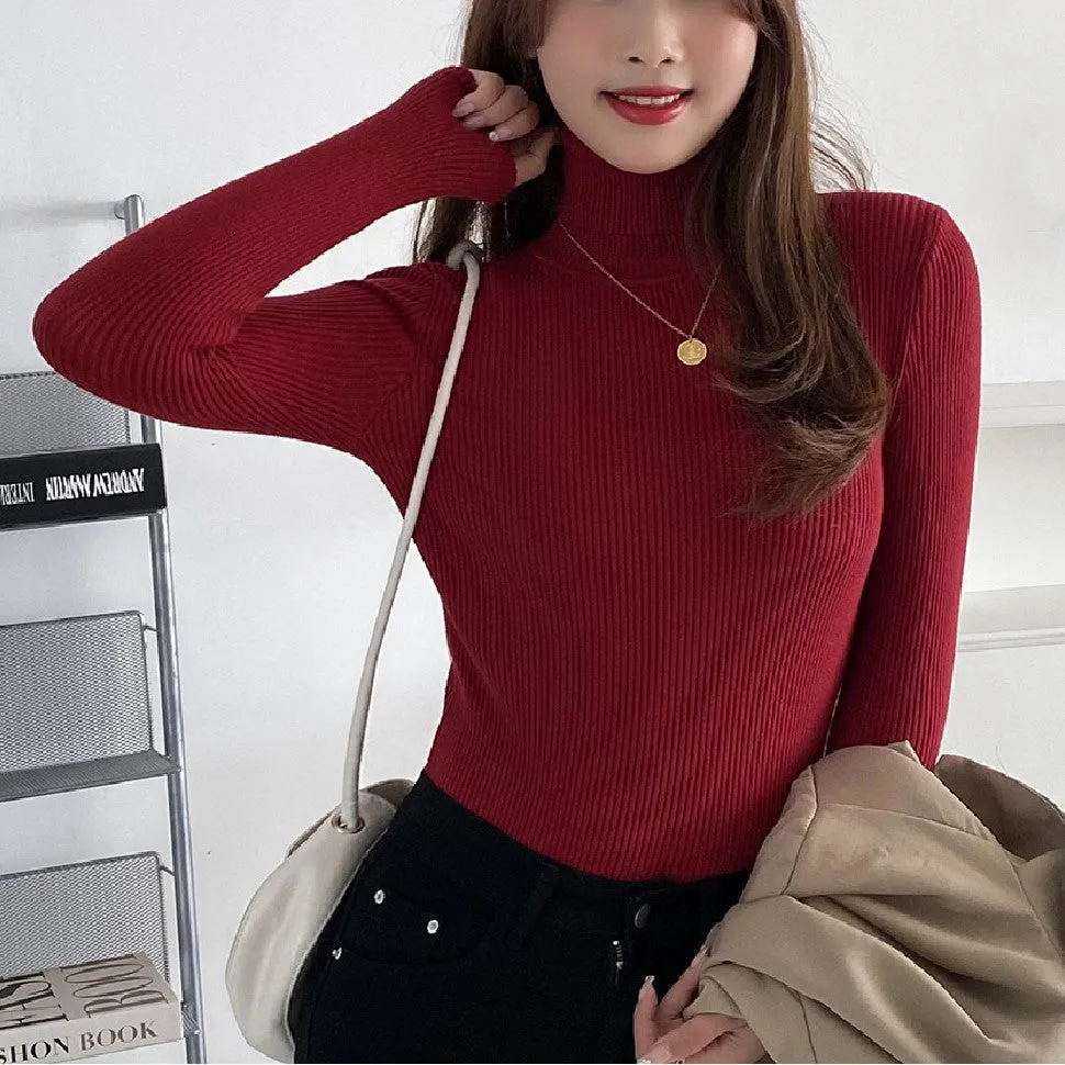 Red High Neck Acryllic Top
