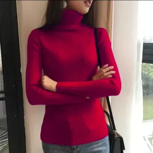 Red High Neck Flat Knit Top