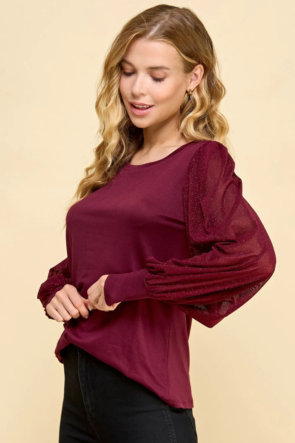 Sheer Glitter Sleeve Top