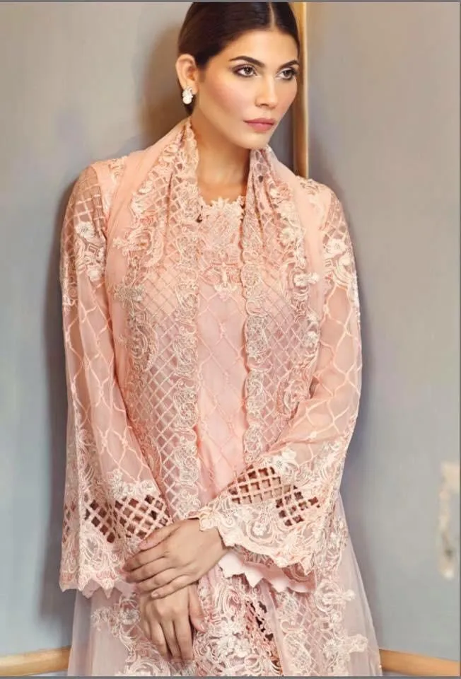 Stunning Baby Pink Color Chiffon and Net Dress by Anaya- C857