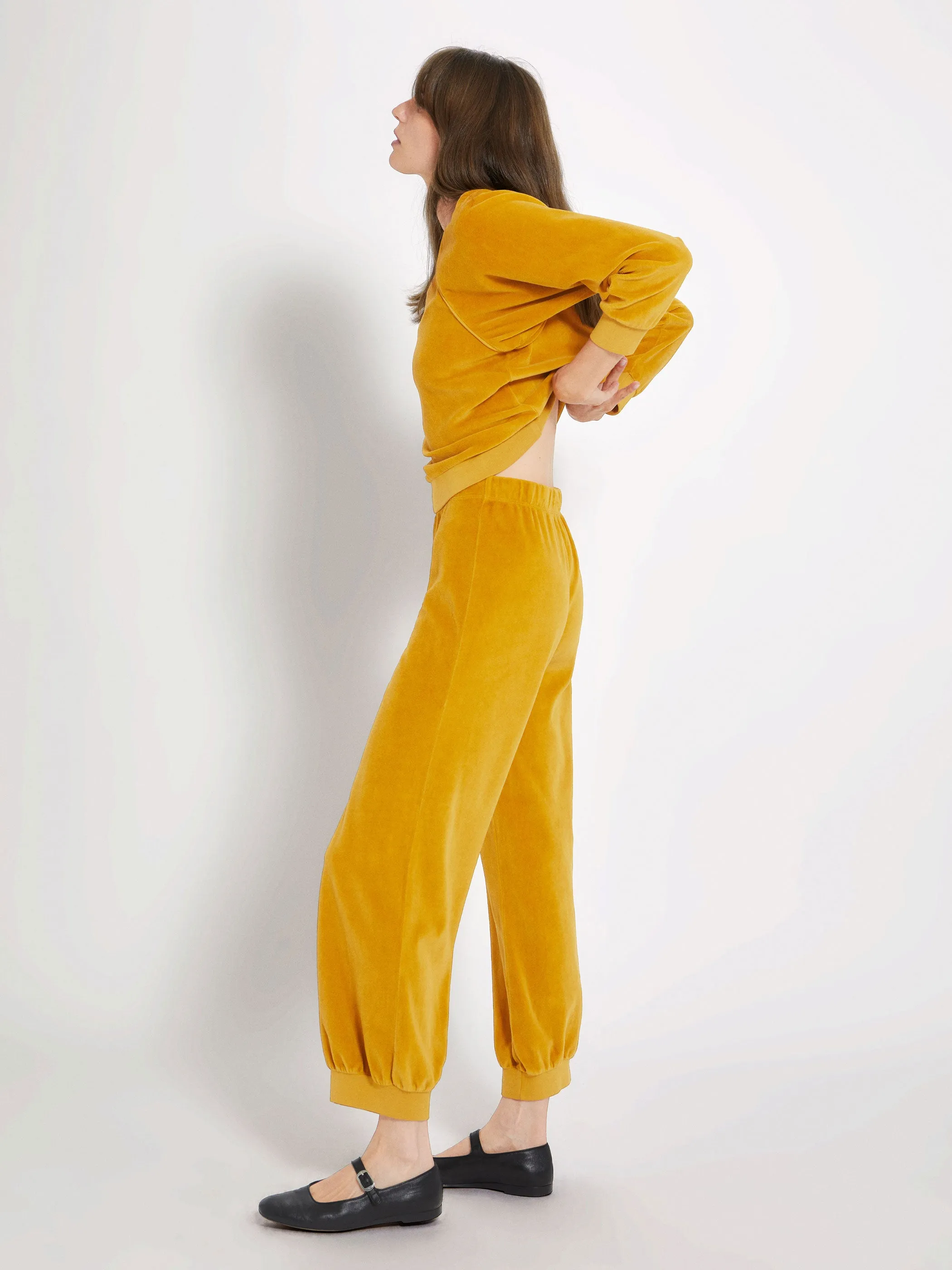The Tosk Harem Pants in Velour