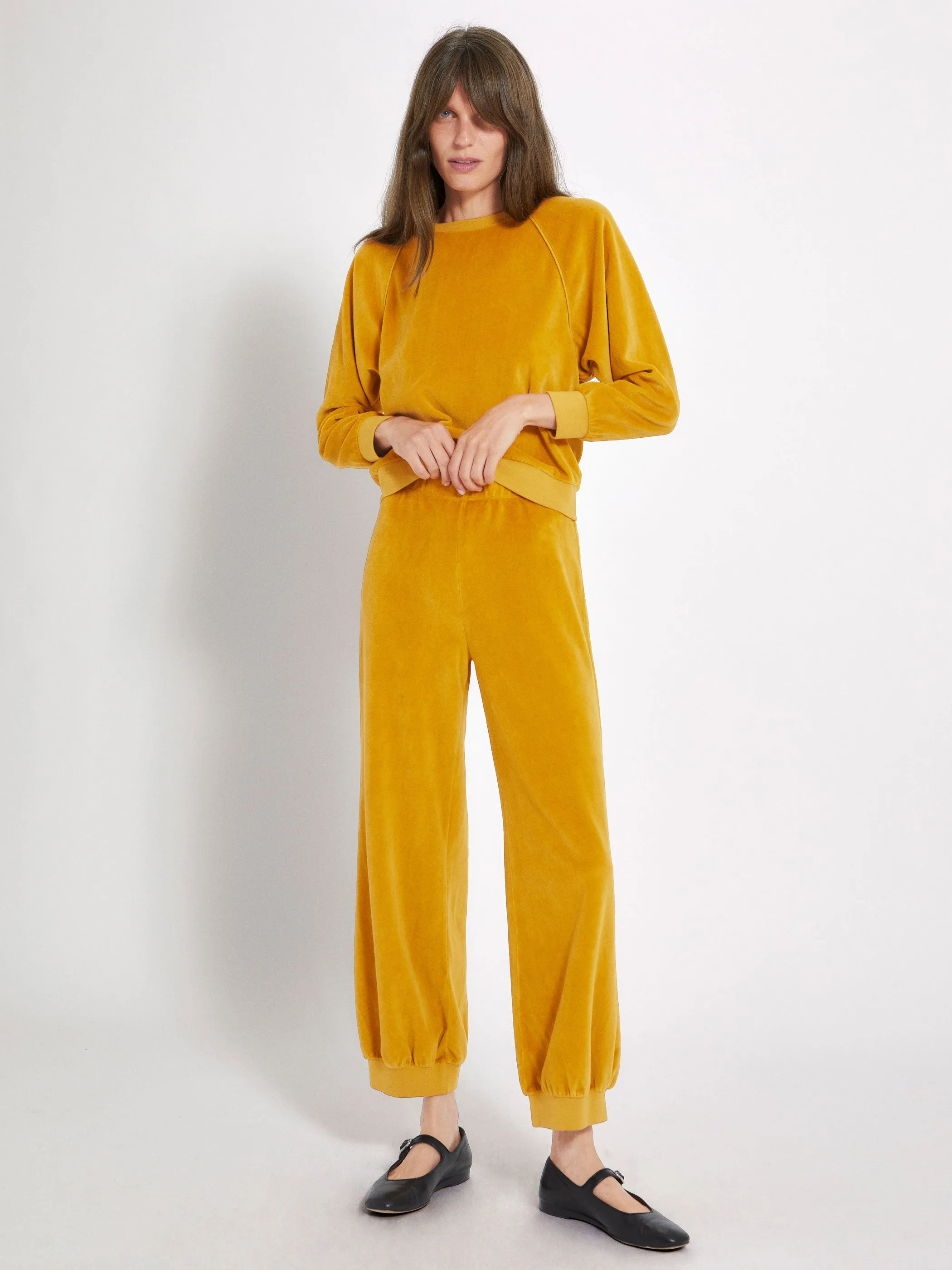 The Tosk Harem Pants in Velour