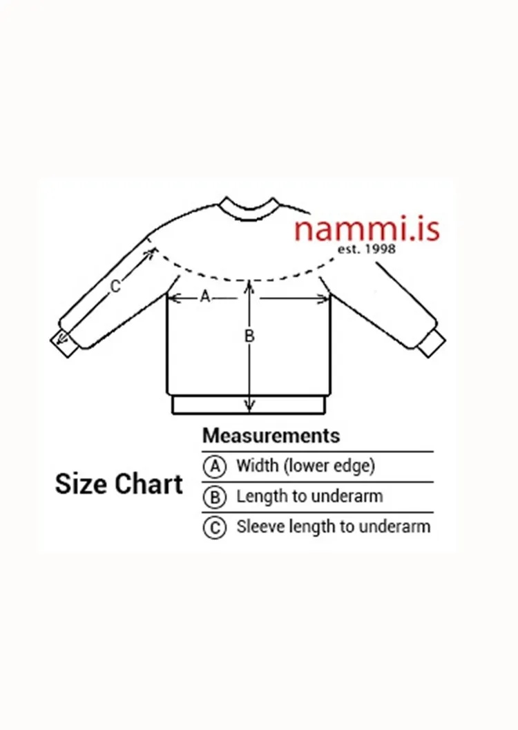 Wool Sweater - Vængjatök Grey